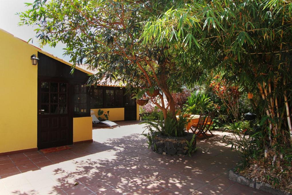 Casa Rural Los Aromos - Wunderschones Landhaus Mit Meerblick Hermigua Exteriör bild
